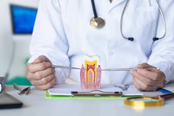 Best Tooth Infection Emergency Dentist  in East Riverdale, MD